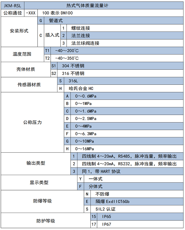 DN65熱式氣體質(zhì)量流量計選項表